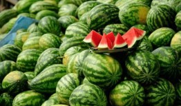 可以看网红的吃瓜,揭秘娱乐圈幕后故事