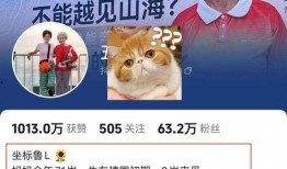 小熊被爆料抄袭视频,揭秘网络红人背后的争议与真相