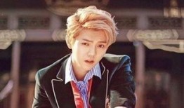 鹿晗圈内爆料,独家爆料背后的真相