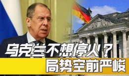 乌克兰局势最新爆料,最新爆料揭示战局走向